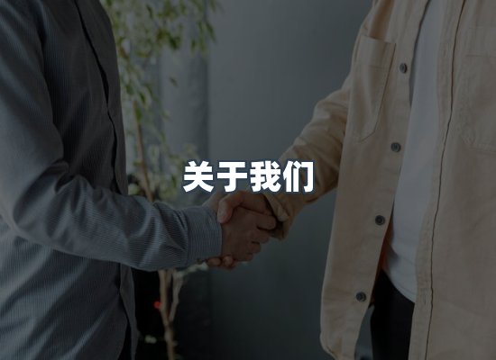 专业团队